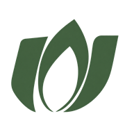 نظام صنفی رایانه ای
